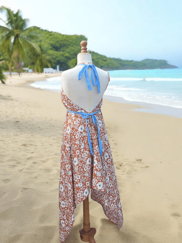 Robe dos nu